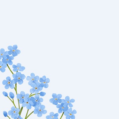 Beileidskarte Vergissmeinnicht blau Blümchen Abschied 2