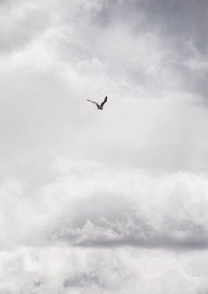 Beileidskarte Wolkenhimmel mit Vogel 2