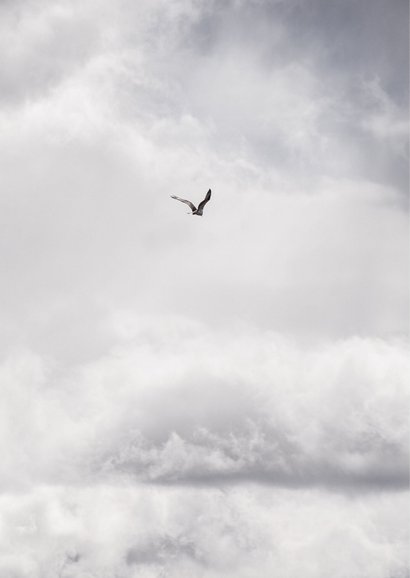 Beileidskarte Wolkenhimmel mit Vogel 2