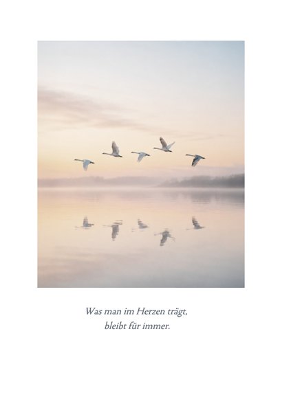 Beileidskarte Zugvögel Sonnenuntergang See 2