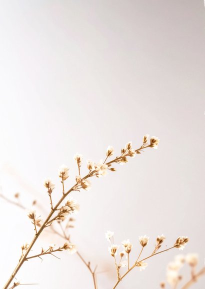 Beileidskarte Zweige mit Blüten schlicht 2