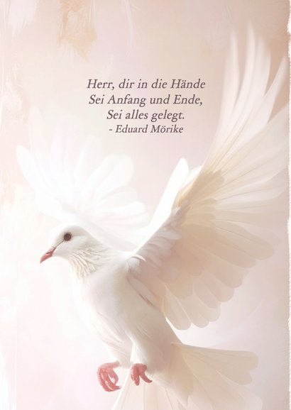 Dankeskarte Trauer Taube Glaube Pastell 2