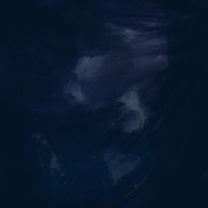 Dunkelblaue Weihnachtskarte Marmoroptik 2026 Foto Rückseite