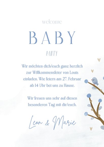 Einladungen zur Babyparty des kleinen Mannes