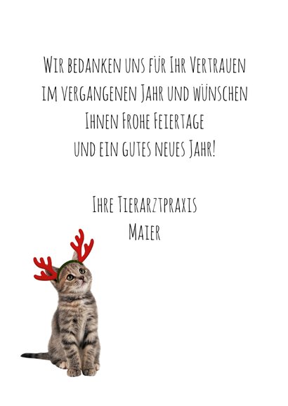 Firmenweihnachtskarte mit Weihnachtskatze 3