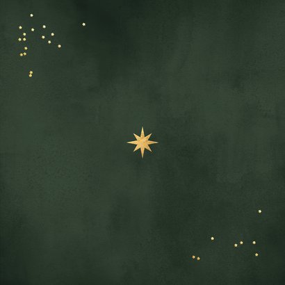 Foto-Dankeskarte geschäftlich Sterne Weihnachten grün Rückseite