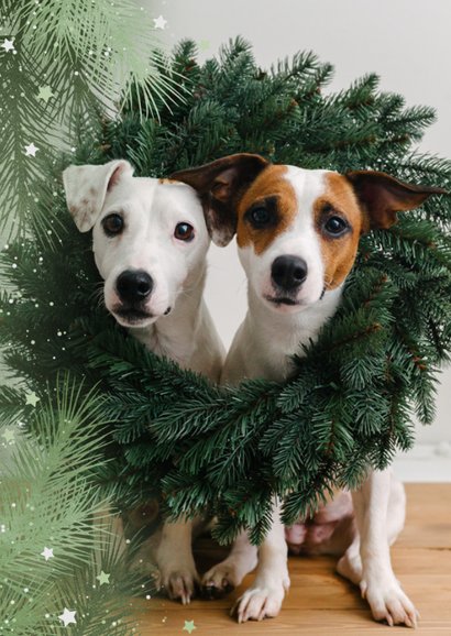 Foto-Weihnachtskarte mit Tannenzweigen-Umrandung 2