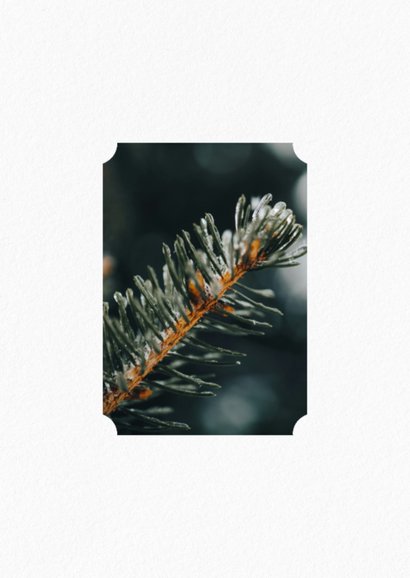 Foto-Weihnachtskarte Schneekristall 4 Fotos 'Frohes Fest' 2