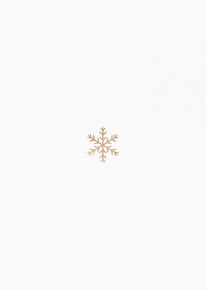 Foto-Weihnachtskarte Schneekristall 4 Fotos 'Frohes Fest' Rückseite