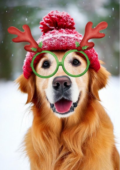 Fotokarte Weihnachten Hund mit Weihnachtsbrille 2