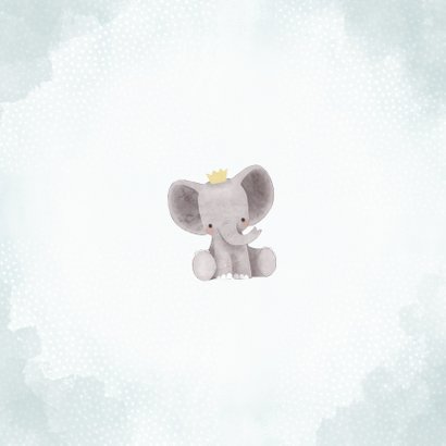 Geburtskarte niedlicher Elefant Foto innen Rückseite