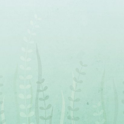 Geburtskarte Schildkröte und Fische Foto innen Rückseite