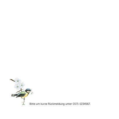 Geburtstagseinladung Frühlingsbote Vogel 2