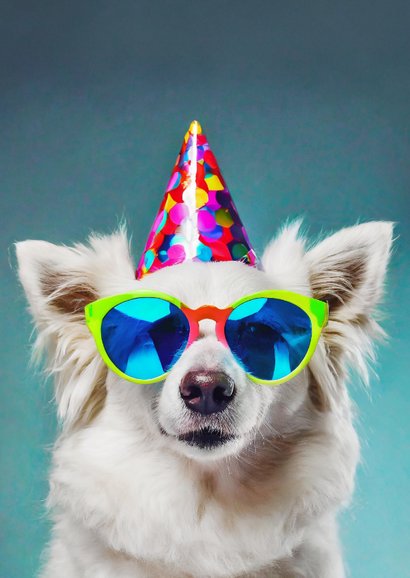 Geburtstagskarte 'Funky Birthday' Hund mit Sonnenbrille 2
