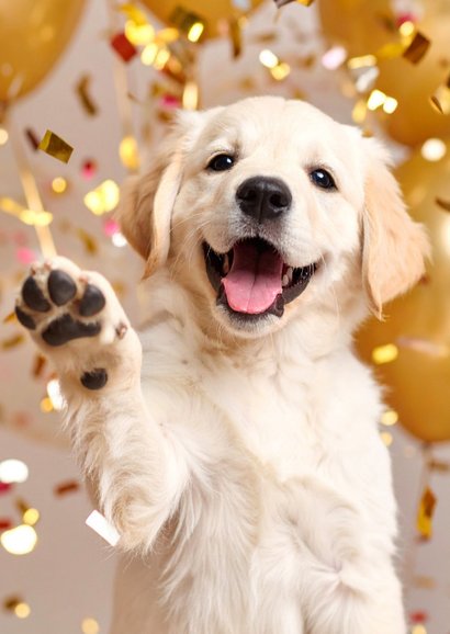 Geburtstagskarte 'Have a pawsome birthday' Hund Party 2
