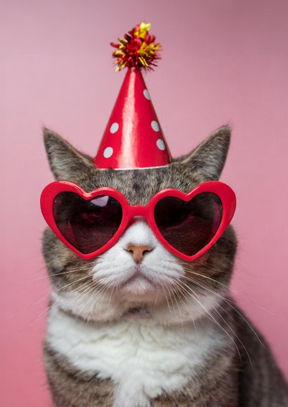 Geburtstagskarte Katze 'I don't care' 2