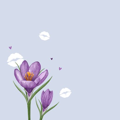 Geburtstagskarte lila Krokusblumen & Küsschen 2