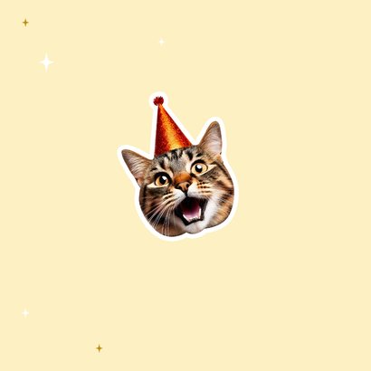 Geburtstagskarte lustige Katzen 'Happy Birthday' 2