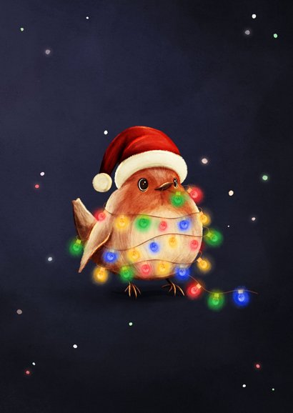Geburtstagskarte Weihnachtsvogel Rotkehlchen Mütze 2
