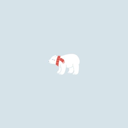 Grußkarte Neujahr Fotokarte mit Eisbären Rückseite