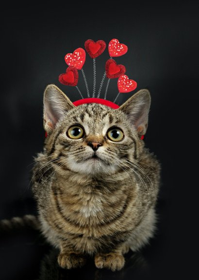 Grußkarte Valentinstag Katze 'Sorry, vergessen' 2