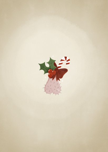 Humorvolle Weihnachtskarte 'jingle my balls' 2