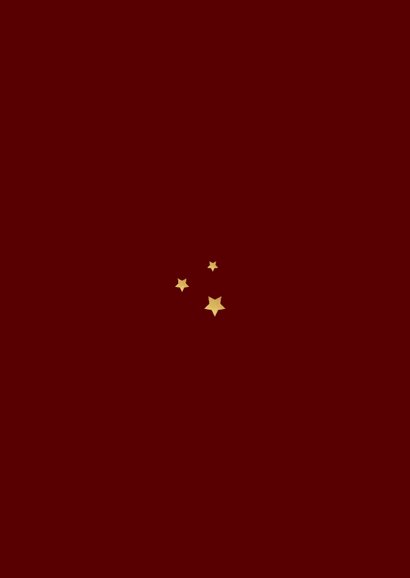 Neujahr Fotocollage-Karte chinesisch Feuerpferd Rückseite