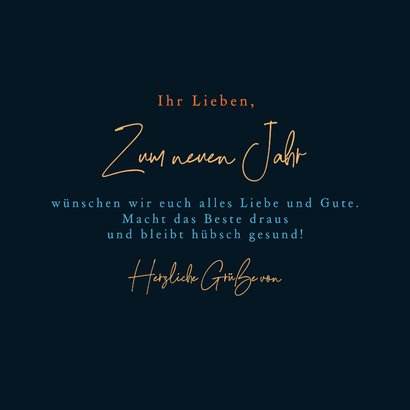 Neujahrskarte Papageientaucher Feuerwerk 3