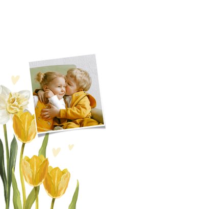 Osterkarte Fotos, Tulpen und Narzissen 2