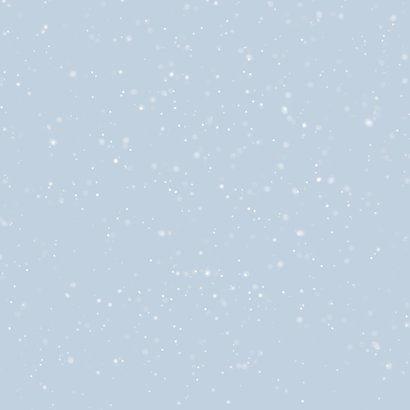 Save-the-Date Hochzeitskarte Schneeflocken Winter Foto Rückseite