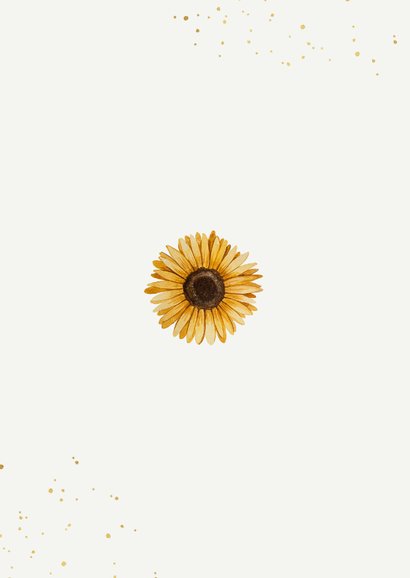 Sterbebild Foto mit Sonnenblume Rückseite