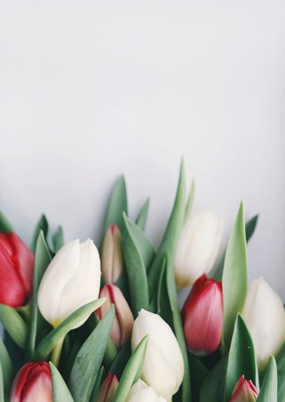 Trauerkarte Einladung Tulpen rot und weiß Rückseite