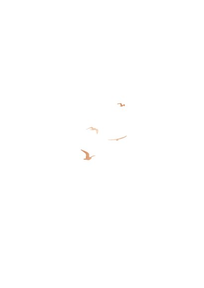 Trauerkarte Foto Beige Aquarell Vögel Rückseite
