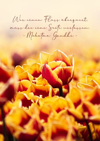 Trauerkarte gelbe Tulpen Blumen 2