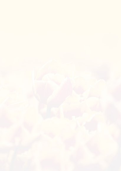 Trauerkarte gelbe Tulpen Blumen Rückseite