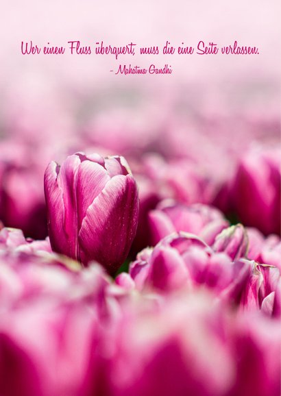Trauerkarte pinke Tulpen Fotografie Trauermitteilung 2