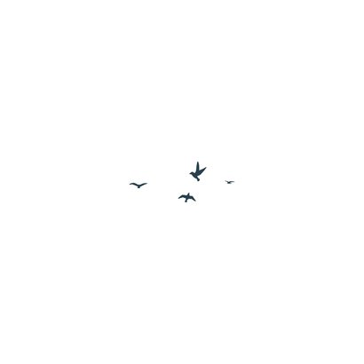 Trauerkarte See mit Vögeln Rückseite