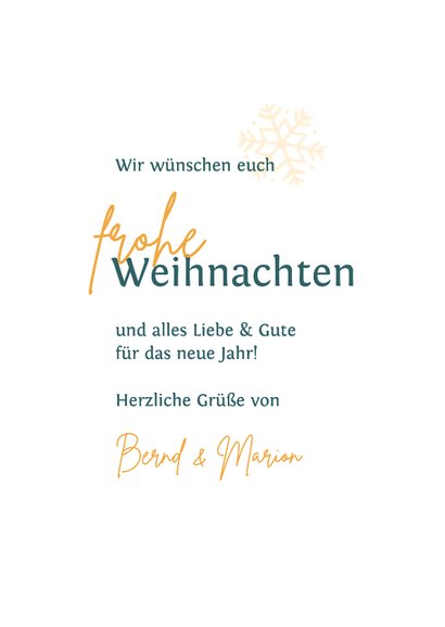 Weihnachts-Fotokarte Rotkehlchen 3