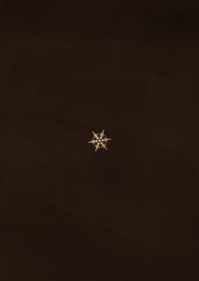 Weihnachtsfeier Einladung Firma Logo Schneekristall braun Rückseite