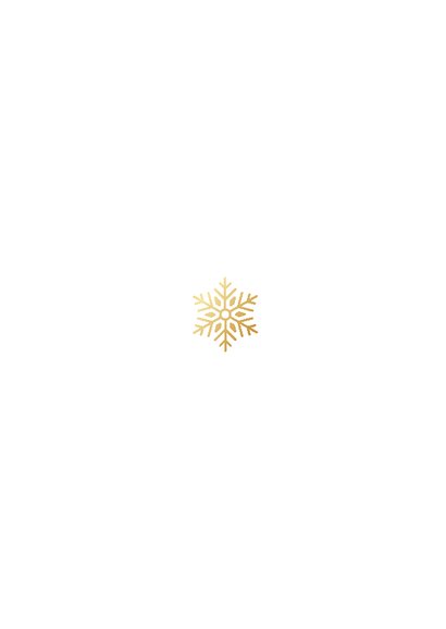Weihnachtsgrüße großes Foto goldene Schneeflocken Rückseite