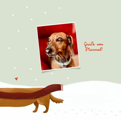 Weihnachtskarte Dackel im Schnee 2