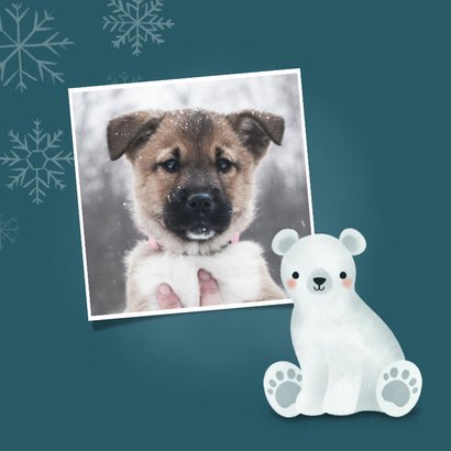 Weihnachtskarte Eisbär, Foto und Schneeflocken 2