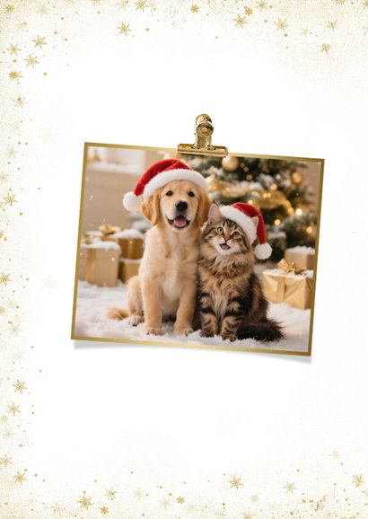 Weihnachtskarte Hund & Katze mit Weihnachtsmütze 2