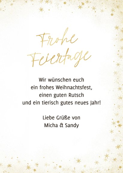 Weihnachtskarte Hund & Katze mit Weihnachtsmütze 3