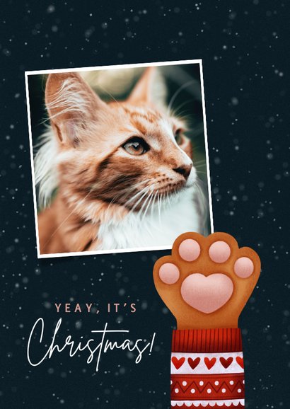 Weihnachtskarte Katzenpfote 2