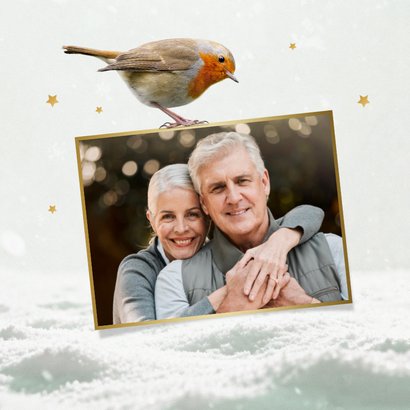 Weihnachtskarte Rotkehlchen im Schnee mit Foto 2