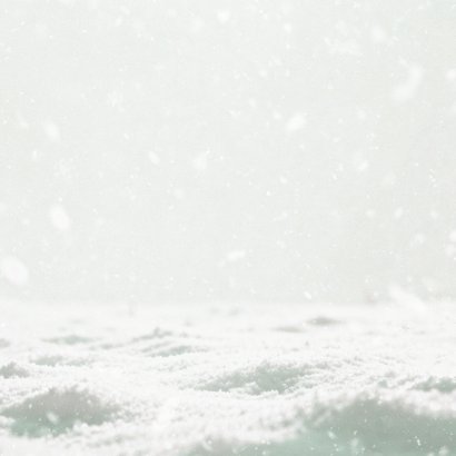 Weihnachtskarte Rotkehlchen im Schnee mit Foto Rückseite