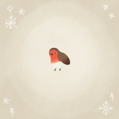 Weihnachtskarte süße Vögelchen mit Briefkasten Rückseite