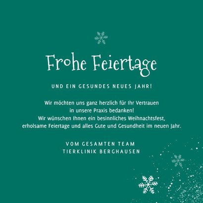 Weihnachtskarte Tierklinik 'Frohe Feiertage' Haustiere 3