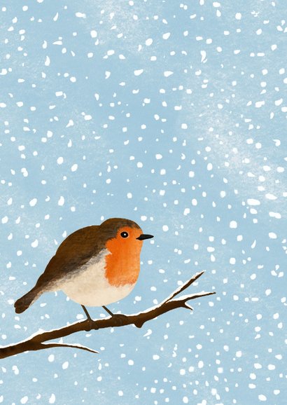 Winterliche Foto-Weihnachtskarte Rotkhelchen 2